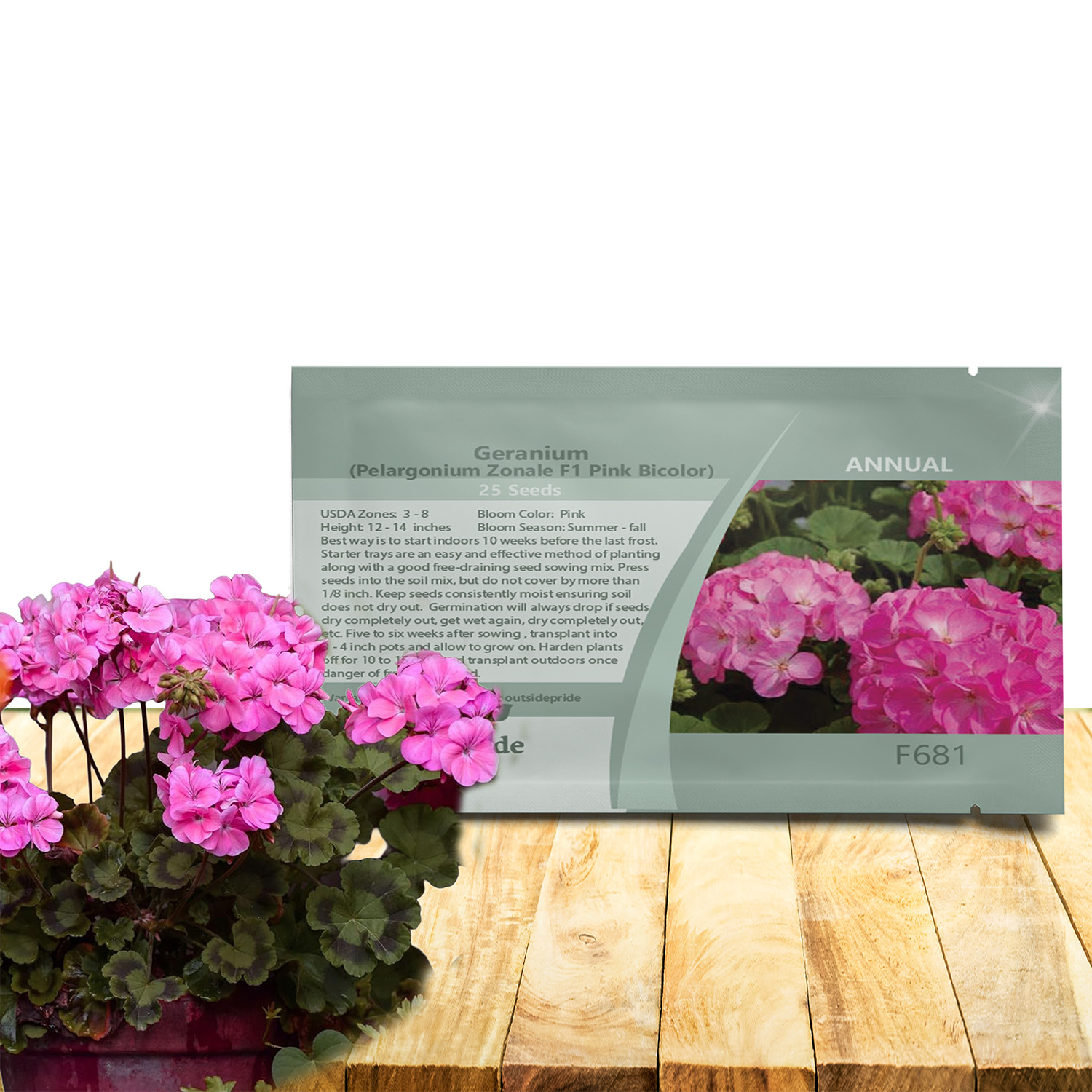 Geranium Pink Bicolor Flower Bed