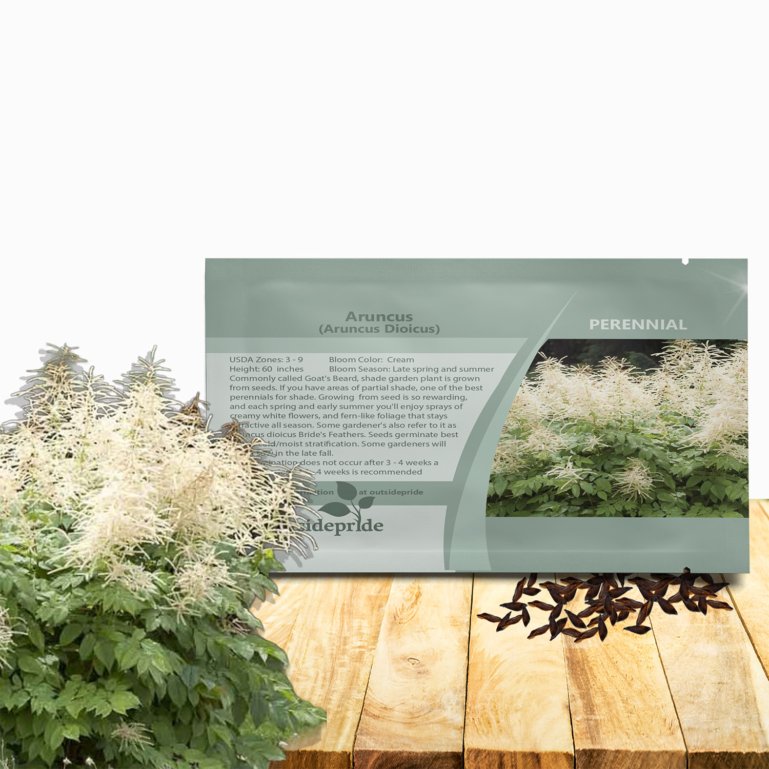 Aruncus Dioicus Flower Seed Packet