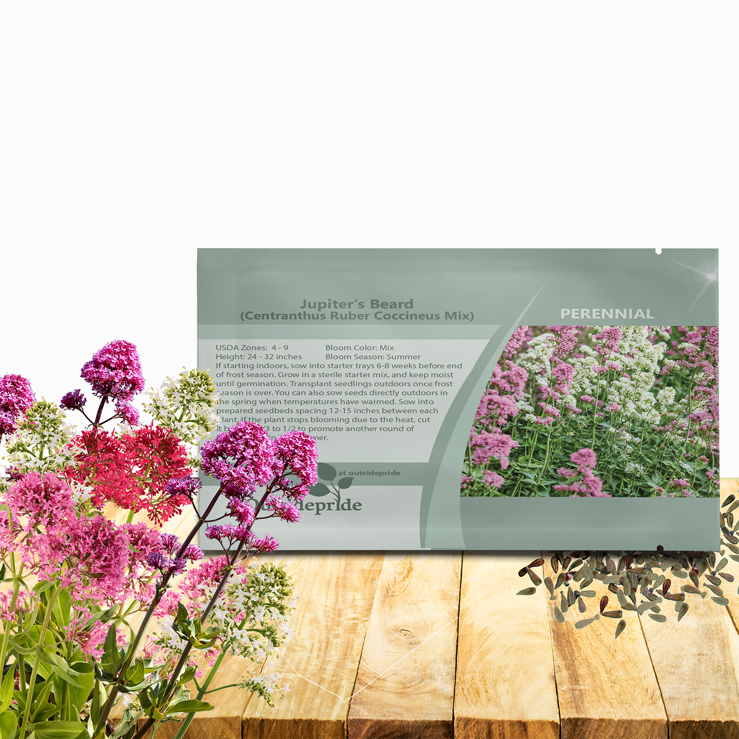 Jupiters Beard Seed Mix For Planting