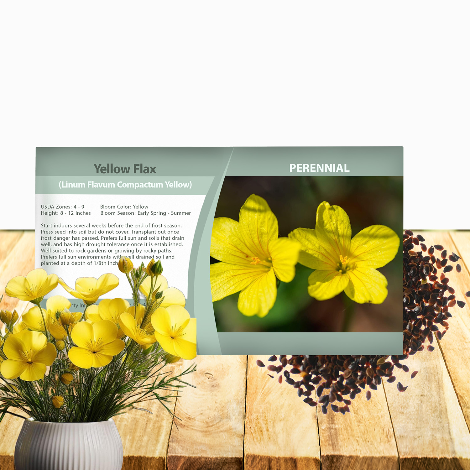 Yellow Flax Garden Flower Seed Packet
