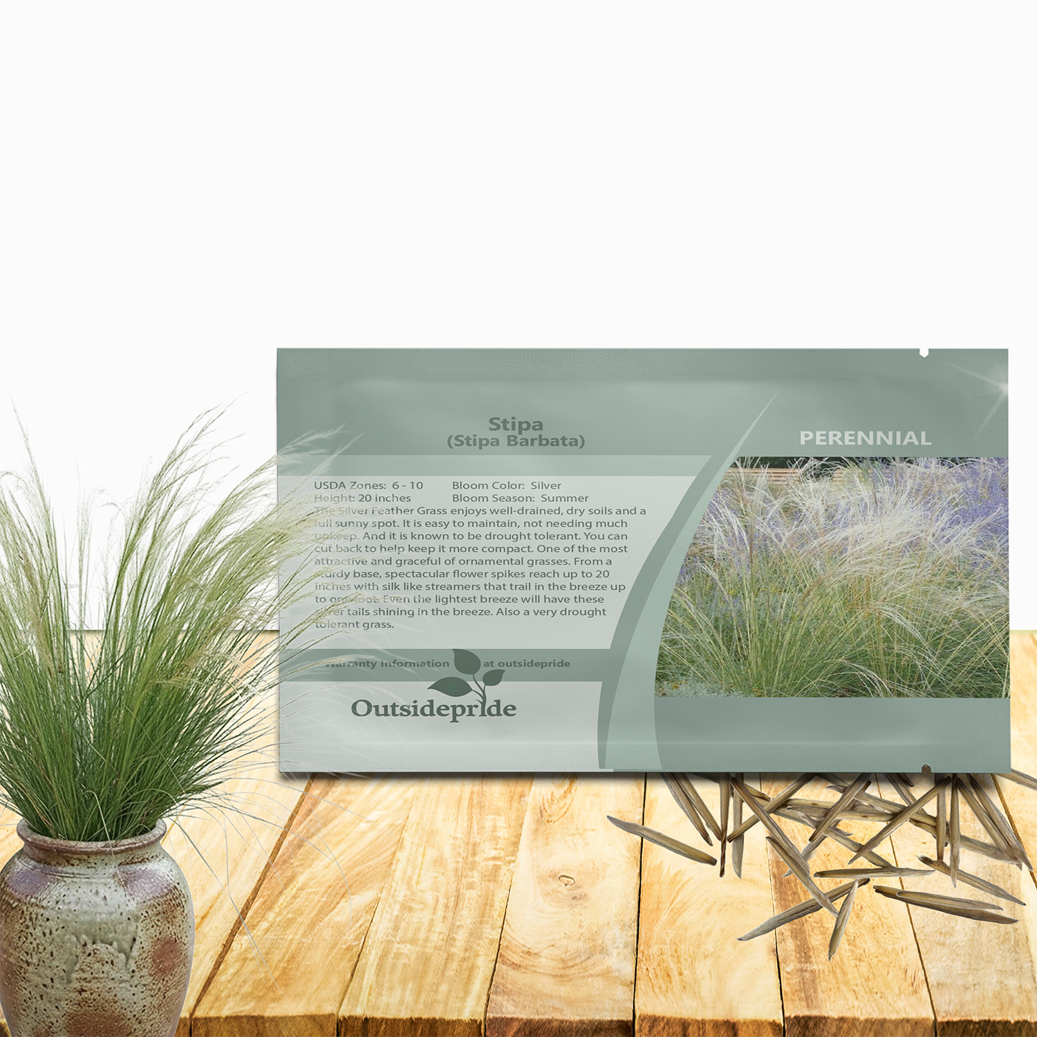 Stipa Barbata Seed Packet