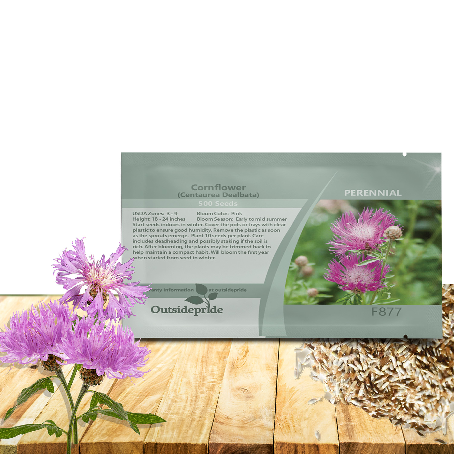 Cornflower Dealbata Seed Packets