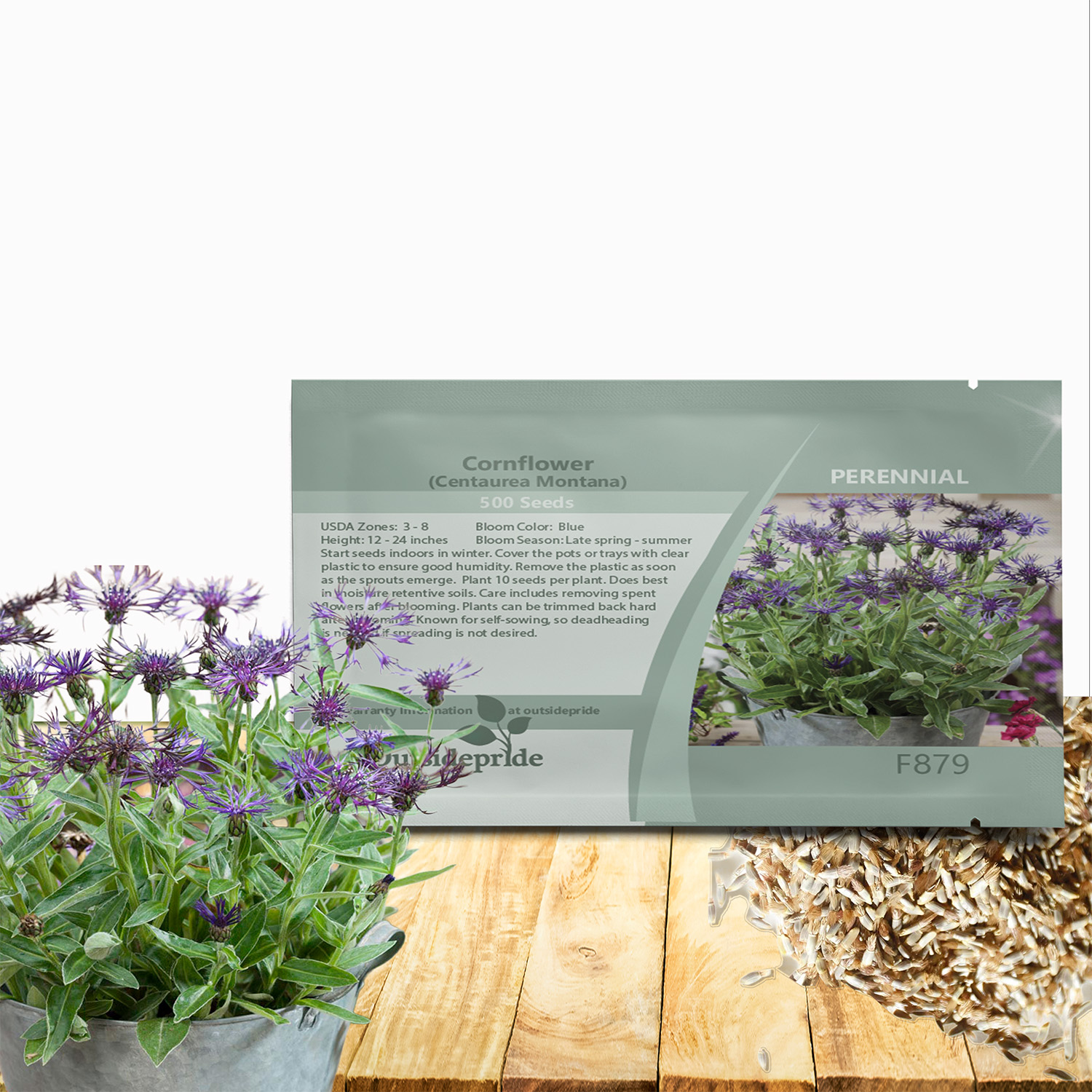 Cornflower Montana Flower Seed Packet