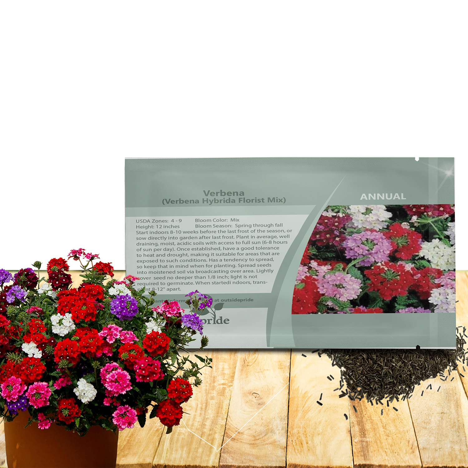 Verbena Florist Basket Seeds For Planting