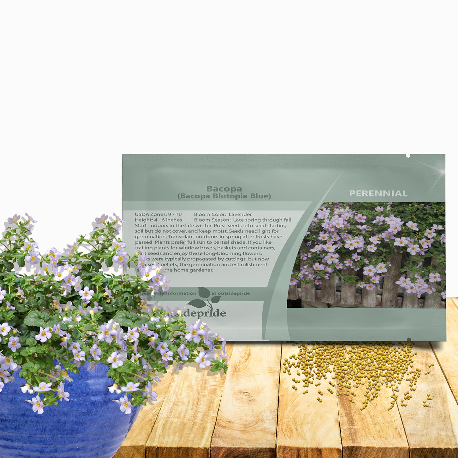 Bacopa Bluetopia Flower Seed Packet For Planting