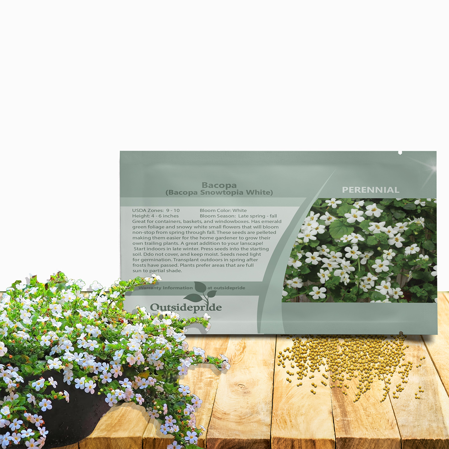 Bacopoa Snowtopia Seed Packet For Planting