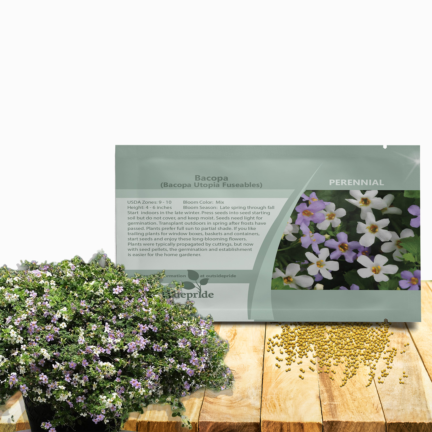 Bacopa Utopia Flower Seed Packet Mix For Planting