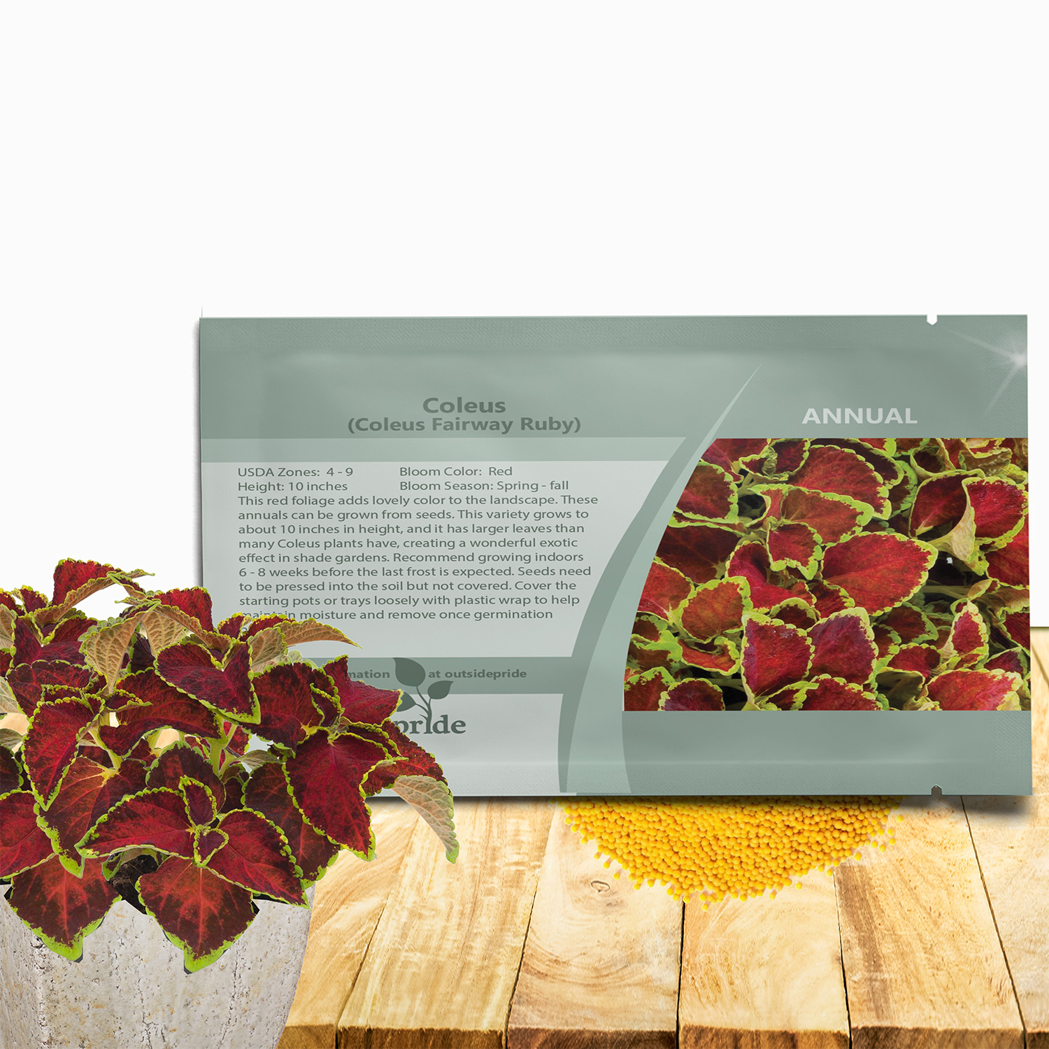 Coleus Fairway Ruby Seed Packet