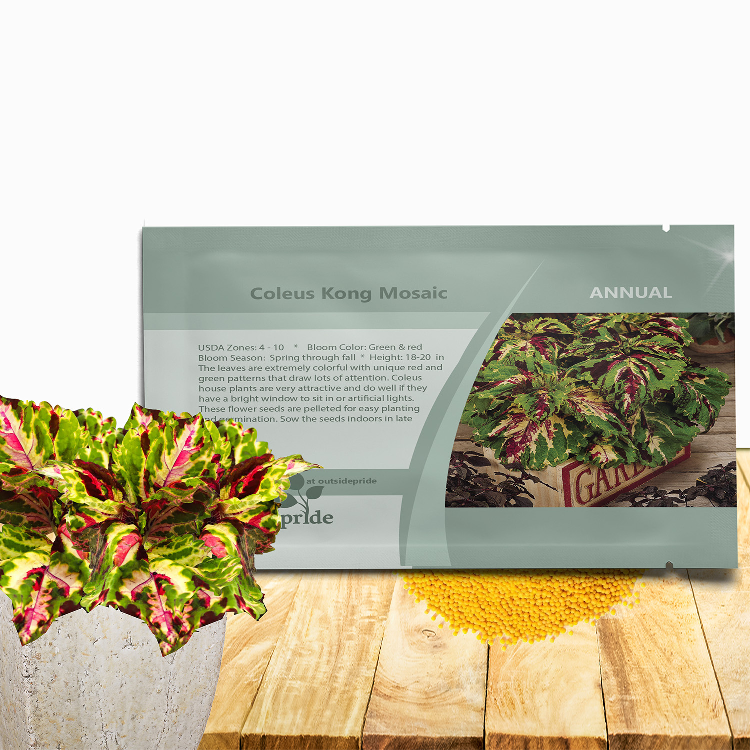 Coleus Kong Mosaic Seed Packet