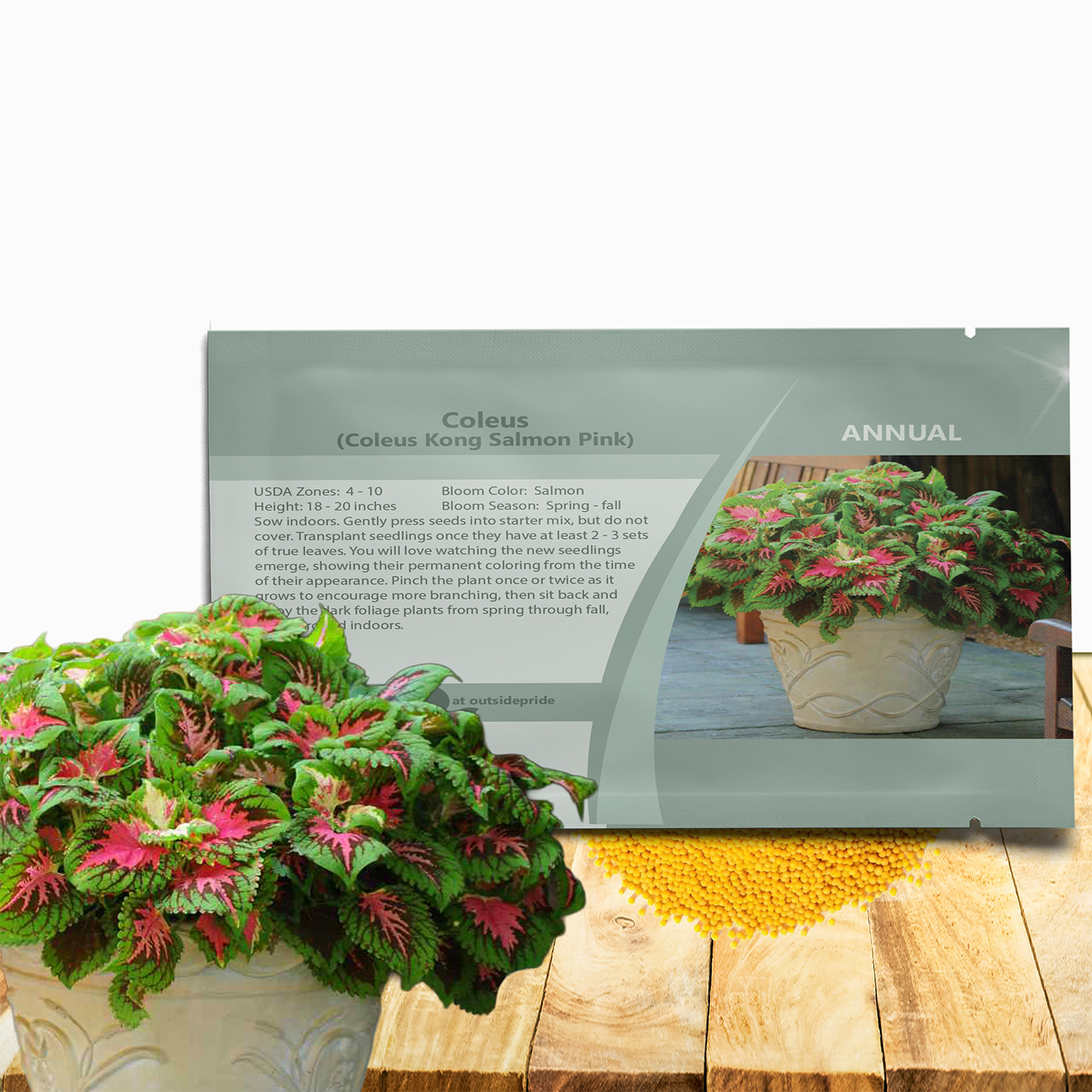 Coleus Kong Salmon Pink Seed Packet