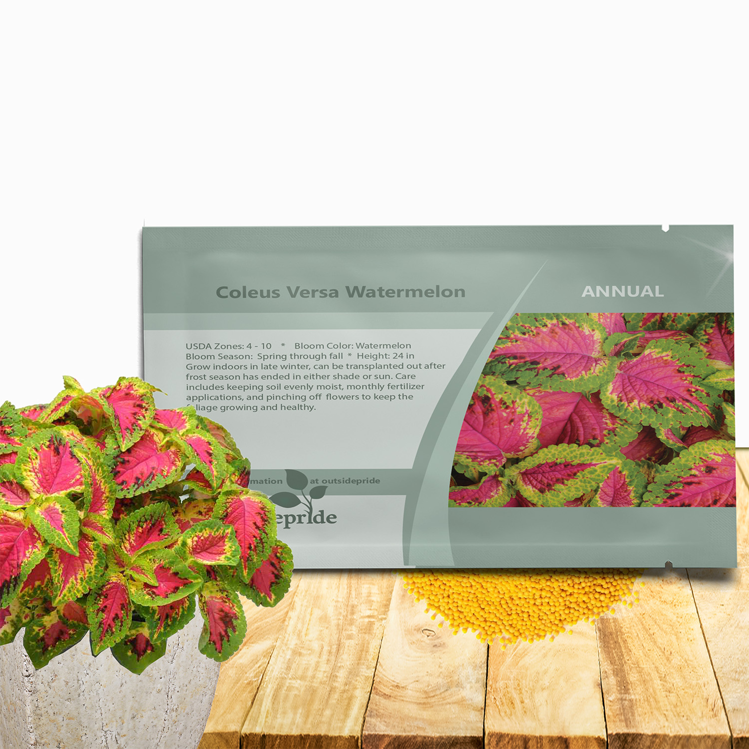 Coleus Versa Watermelon Seed Packet