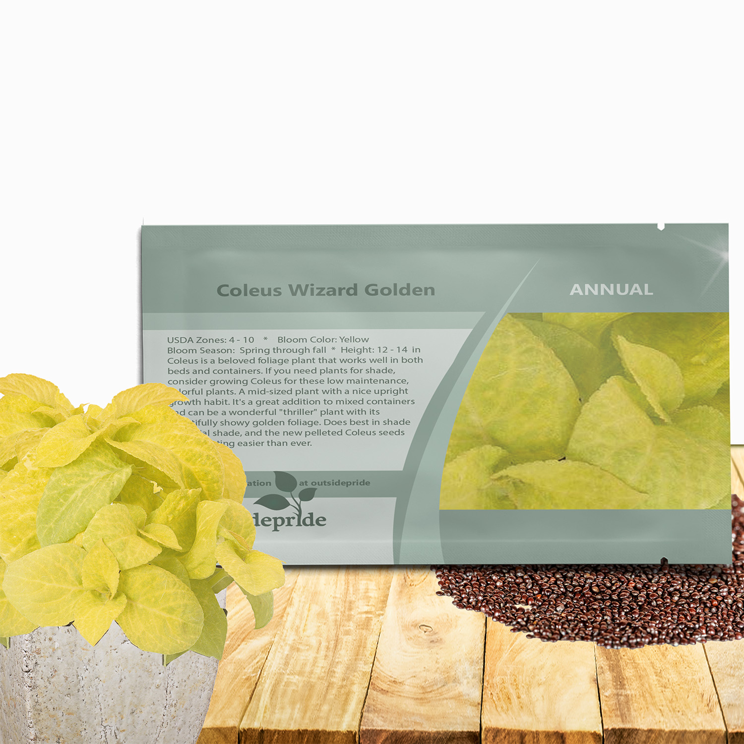 Coleus Wizard Golden Seed Packet