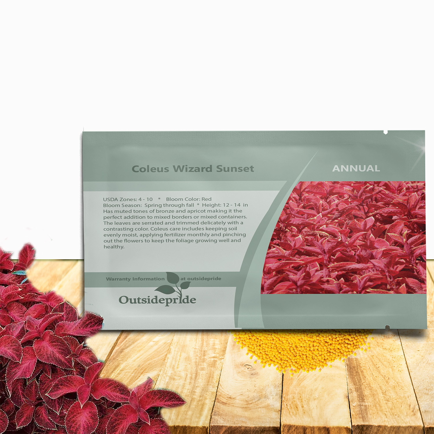 Coleus Wizard Sunset Seed Packet