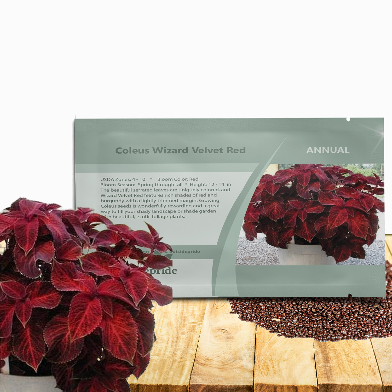 Coleus Velvet Red Seed Packet