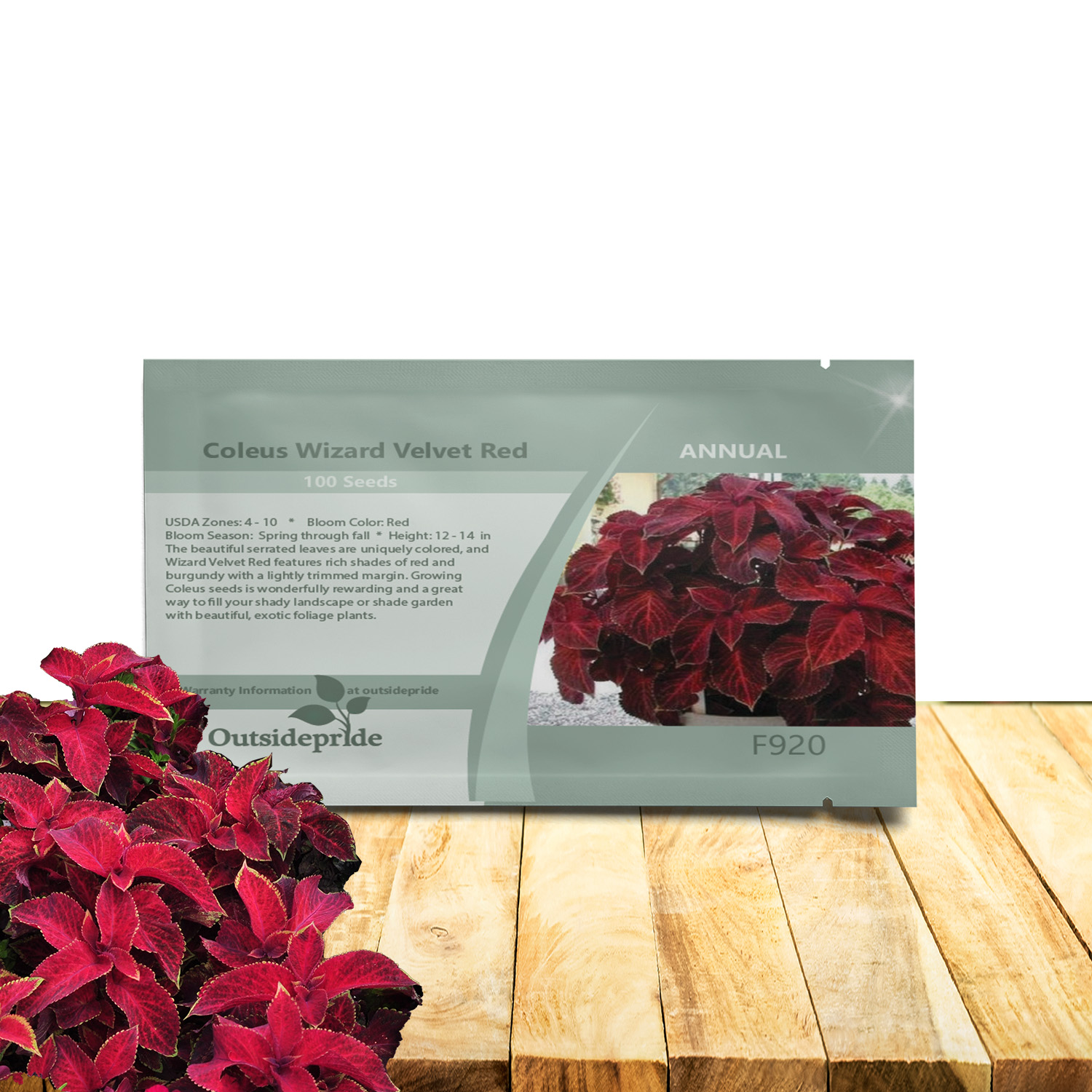 Coleus Velvet Red Seed Packet