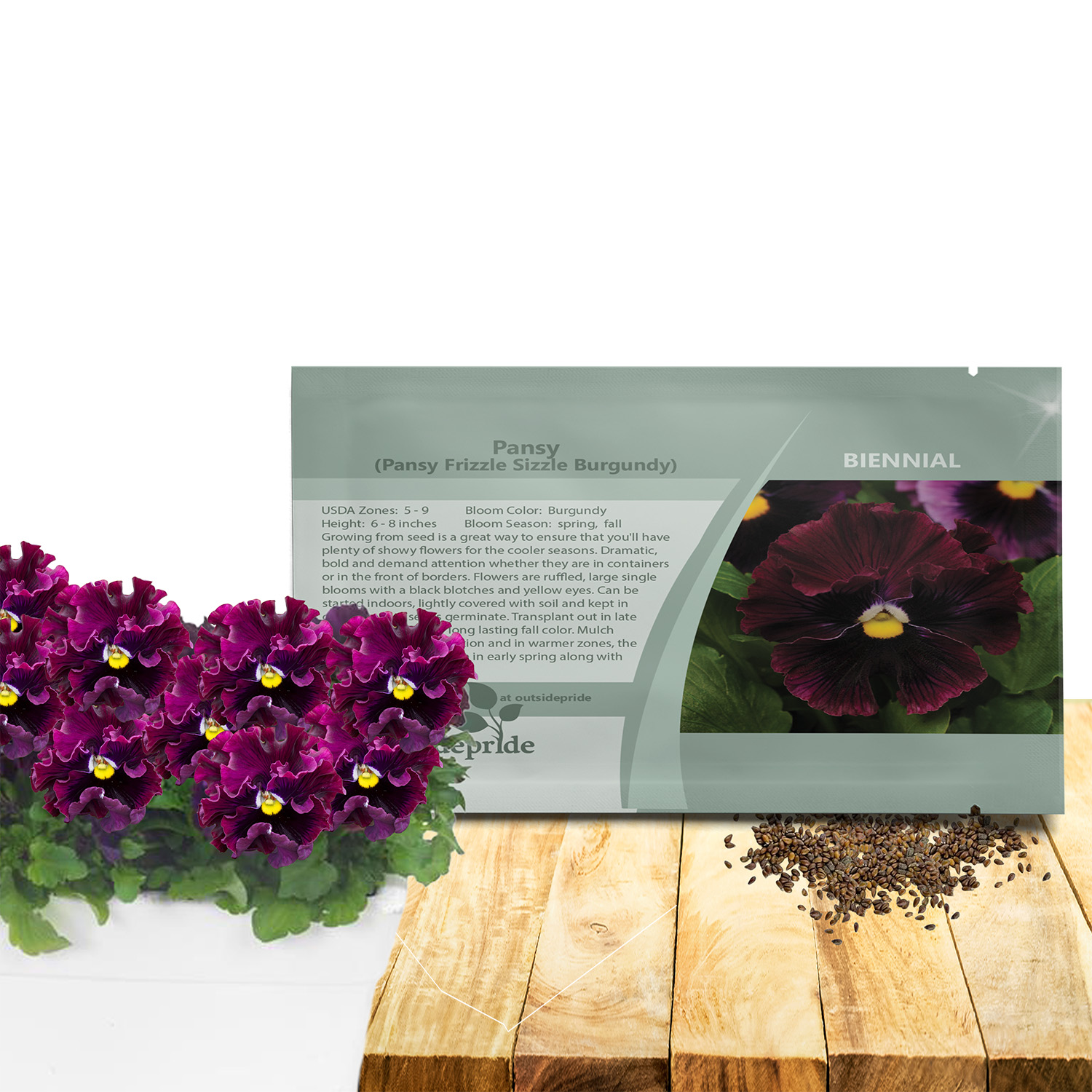 Pansy Frizzle Sizzle Burgundy Seed Packets