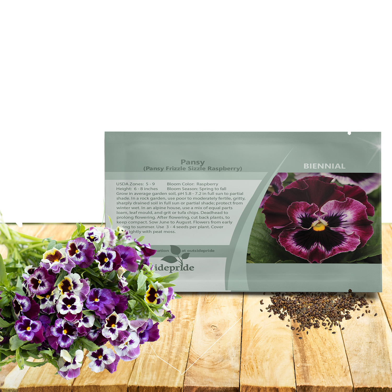 Pansy Frizzle Sizzle Rasberry Seed Packet