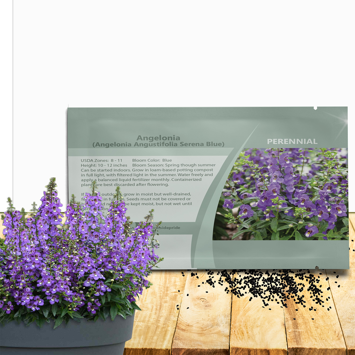 Angelonia Serena Blue Seed Packet