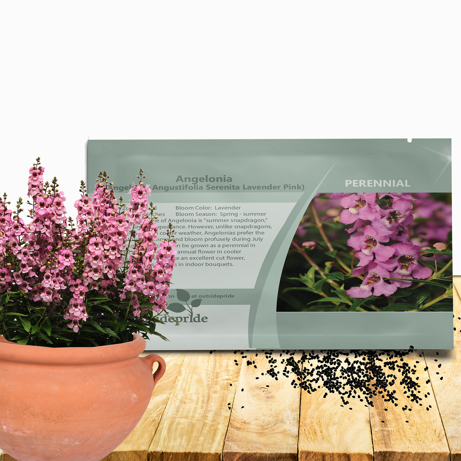 Angelonia Serenita Lavender Seed Packet