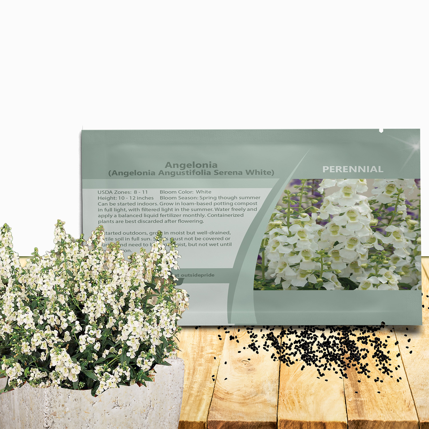 Angelonia Serena White Seed Packet