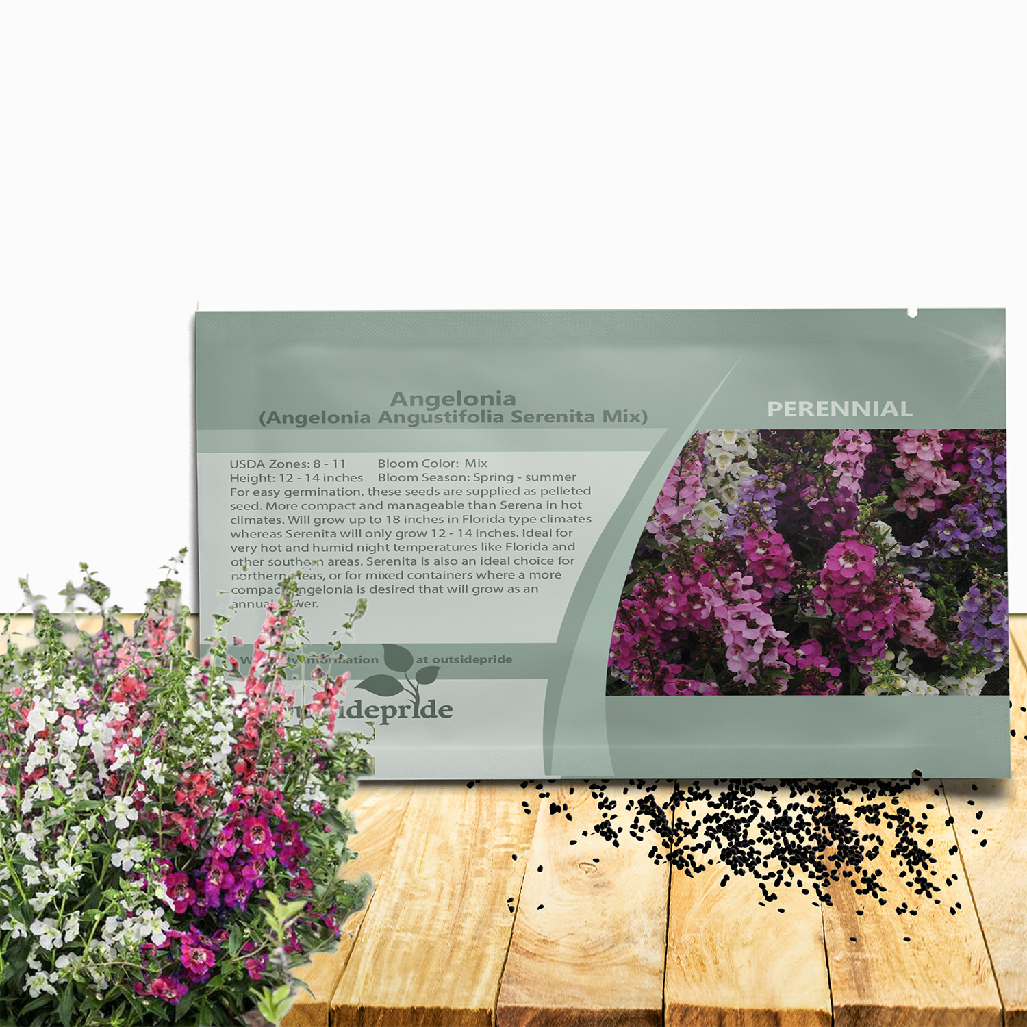 Angelonia Serenita Seed Packet Mixture