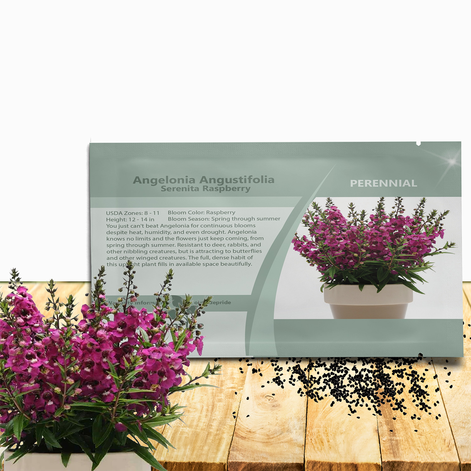 Angelonia Serenita Raspberry Seed Packet