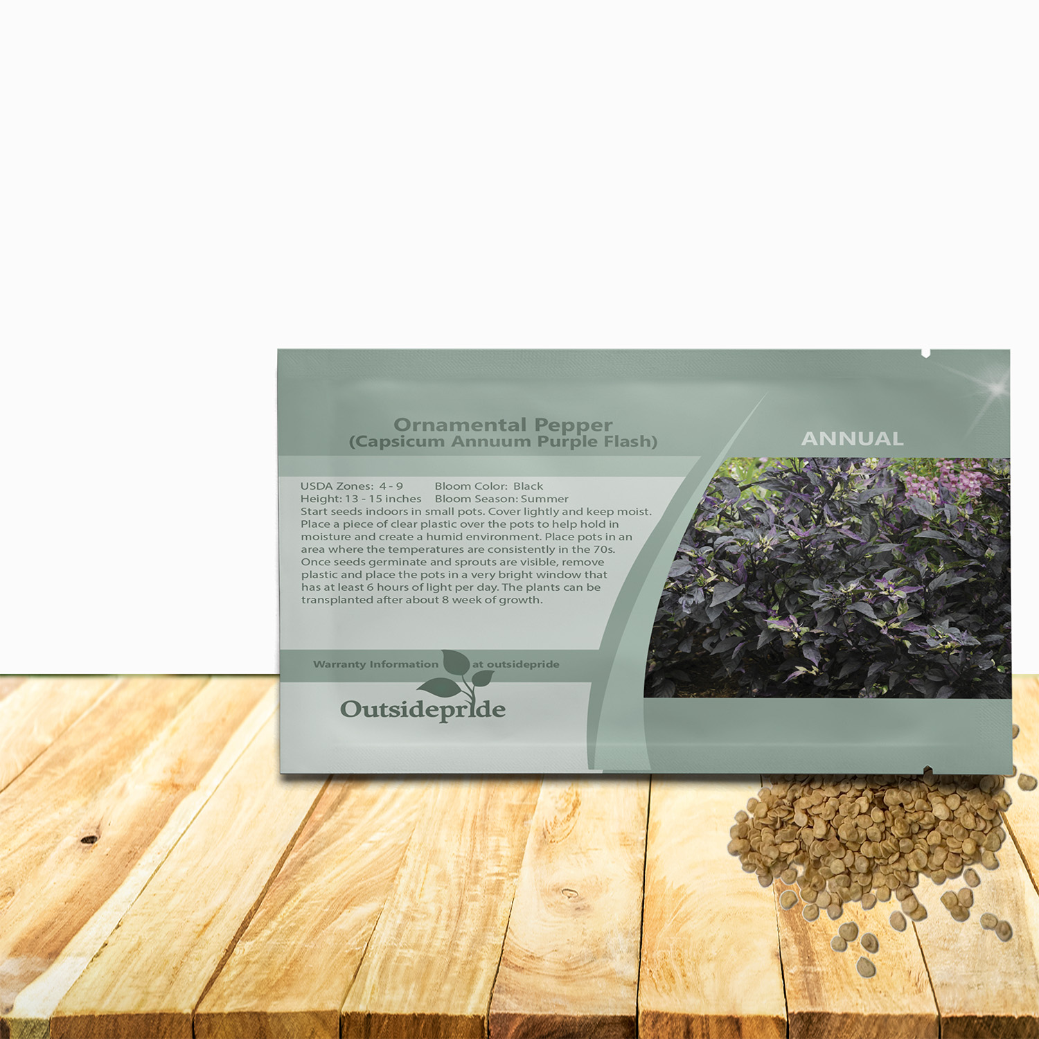 Capsicum Purple Flash Seeds for Planting