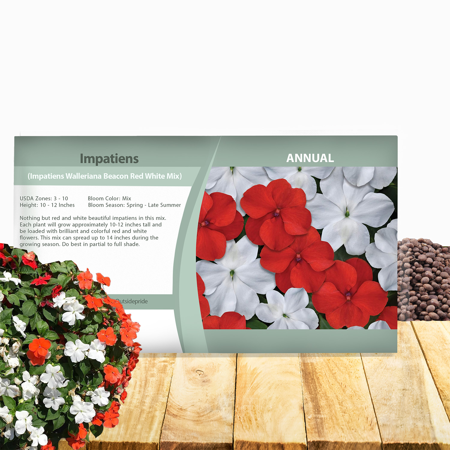 Impatiens Impreza Red White Flower Seed Packet