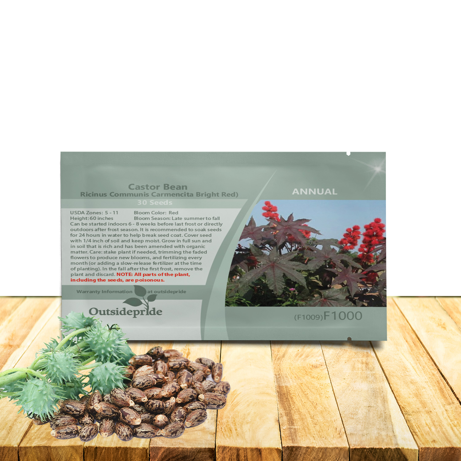 Ricinus Communis Castor Bean Bright Red
