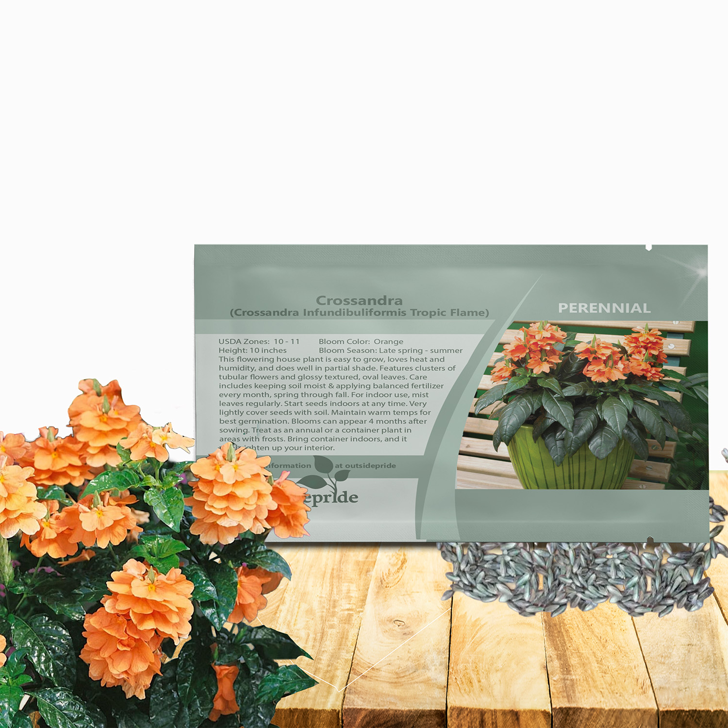 Crossandra Tropic Flame Flower Seed Packet For Planting