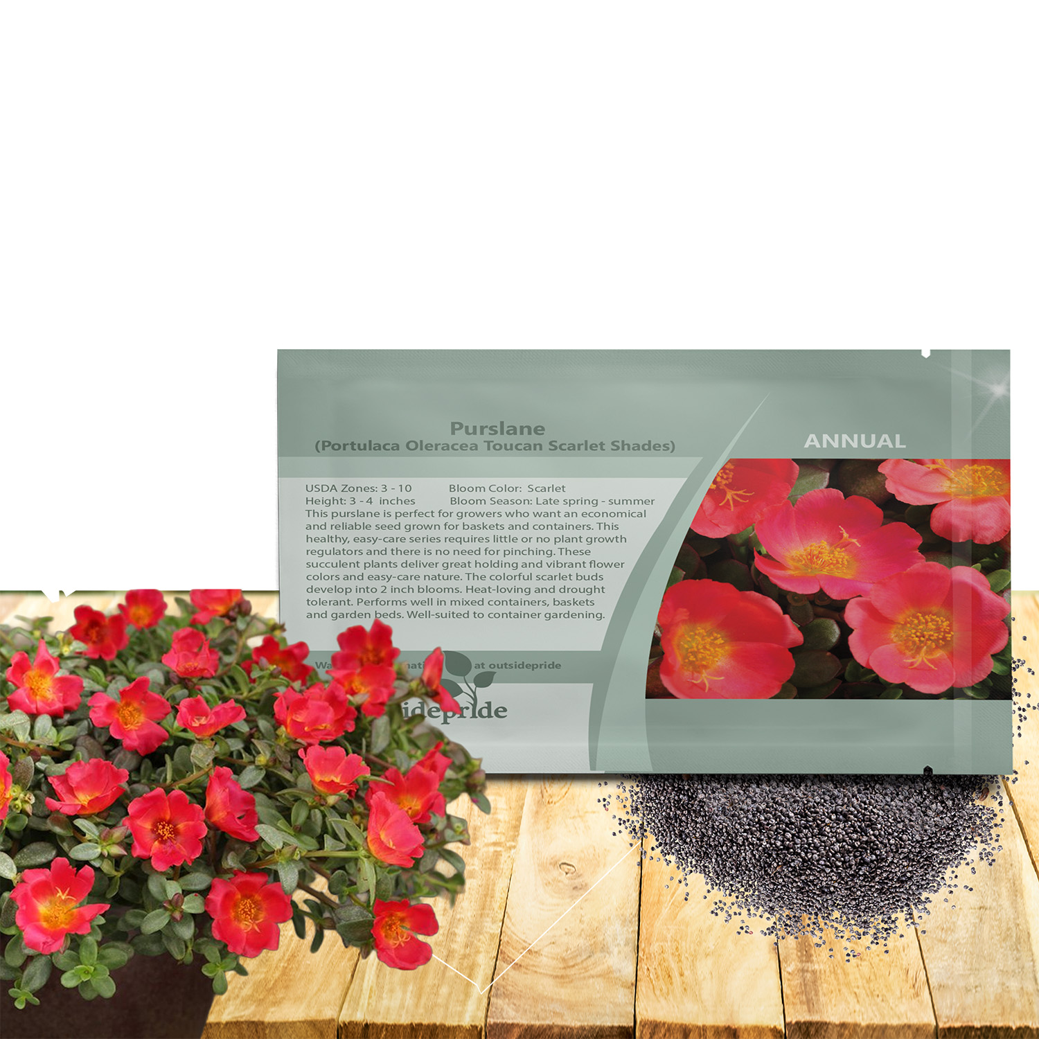 Portulaca Scarlet Shades Seed Packet