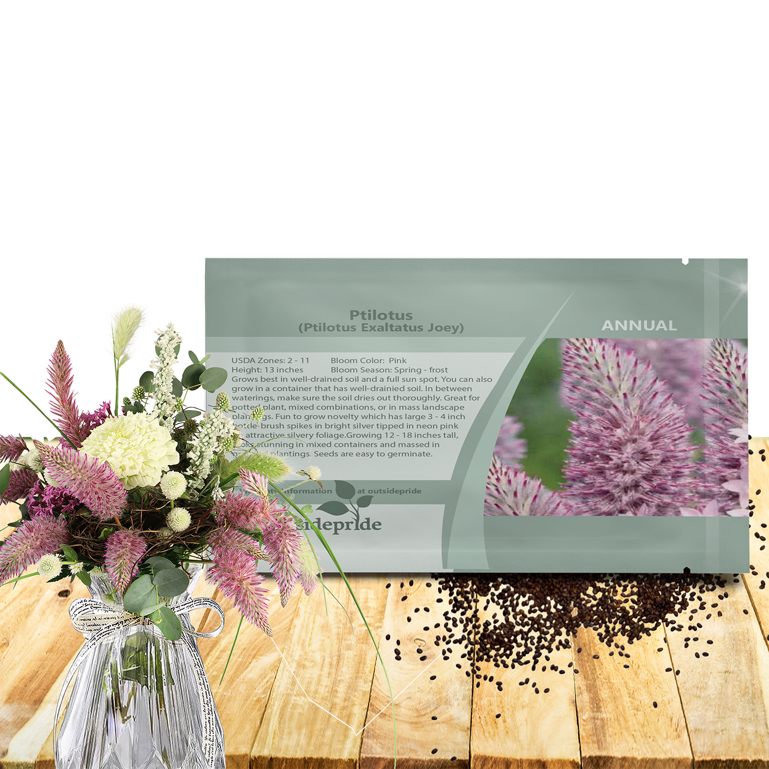 Ptilotus Joey Flower Seed Packet