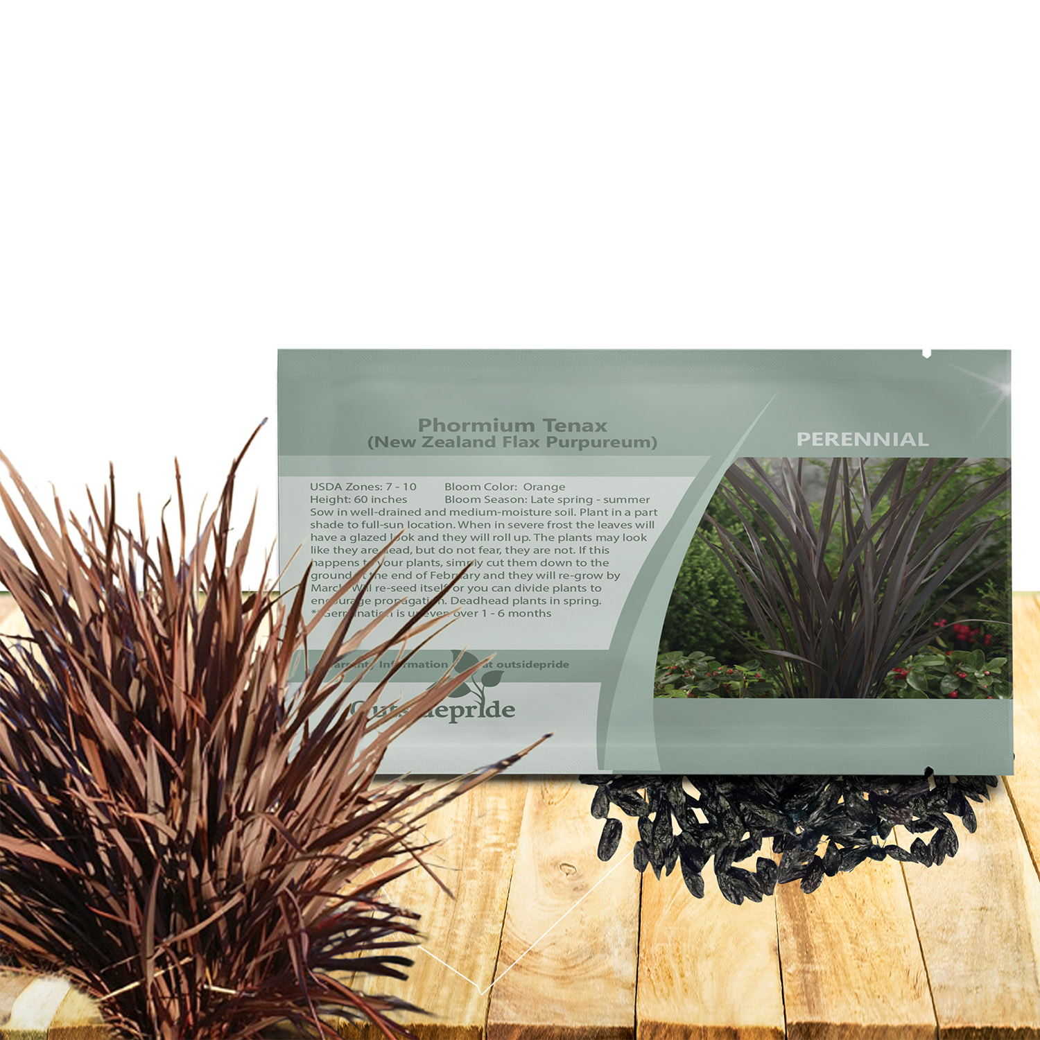 Phormium Purple Ornamental Seed Packet