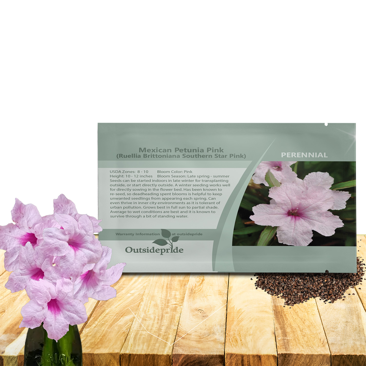 Mexican Petunia Pink Seed Packet