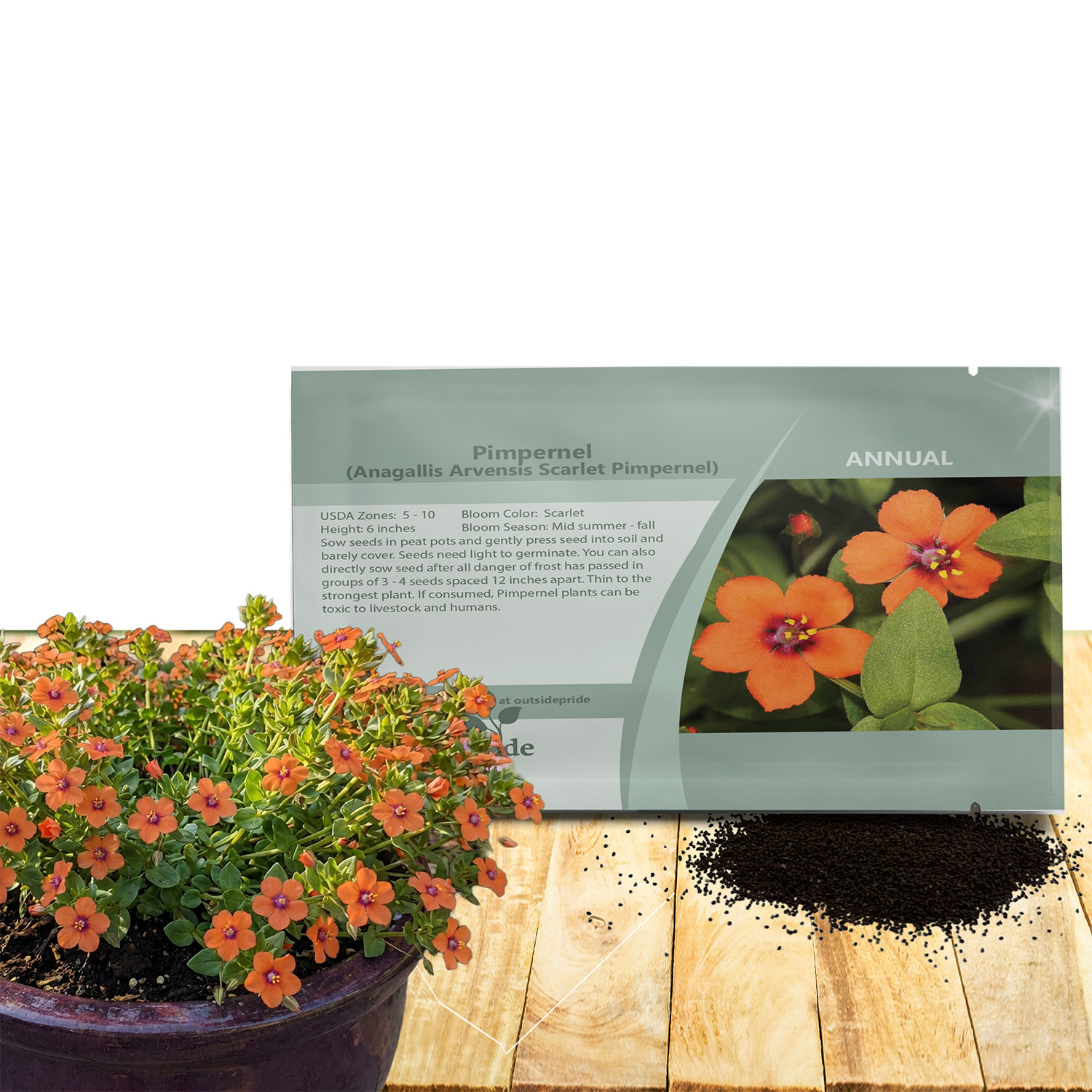 Scarlet Pimpernel Flower Seed Packet