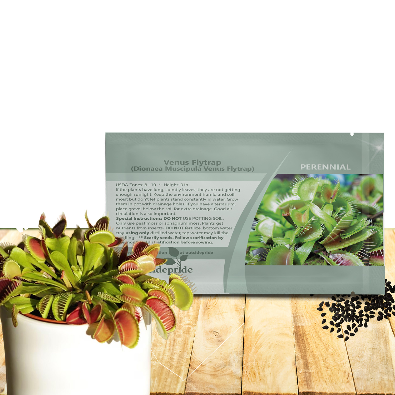 Venus Flytrap Seed Packet For Planting