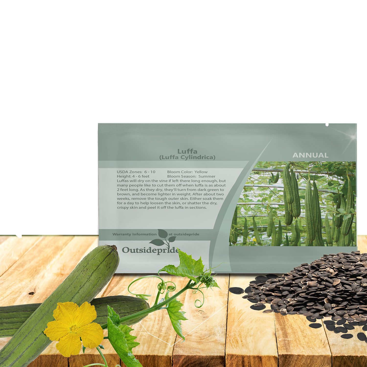 Luffa Vegetable Seed For Planting