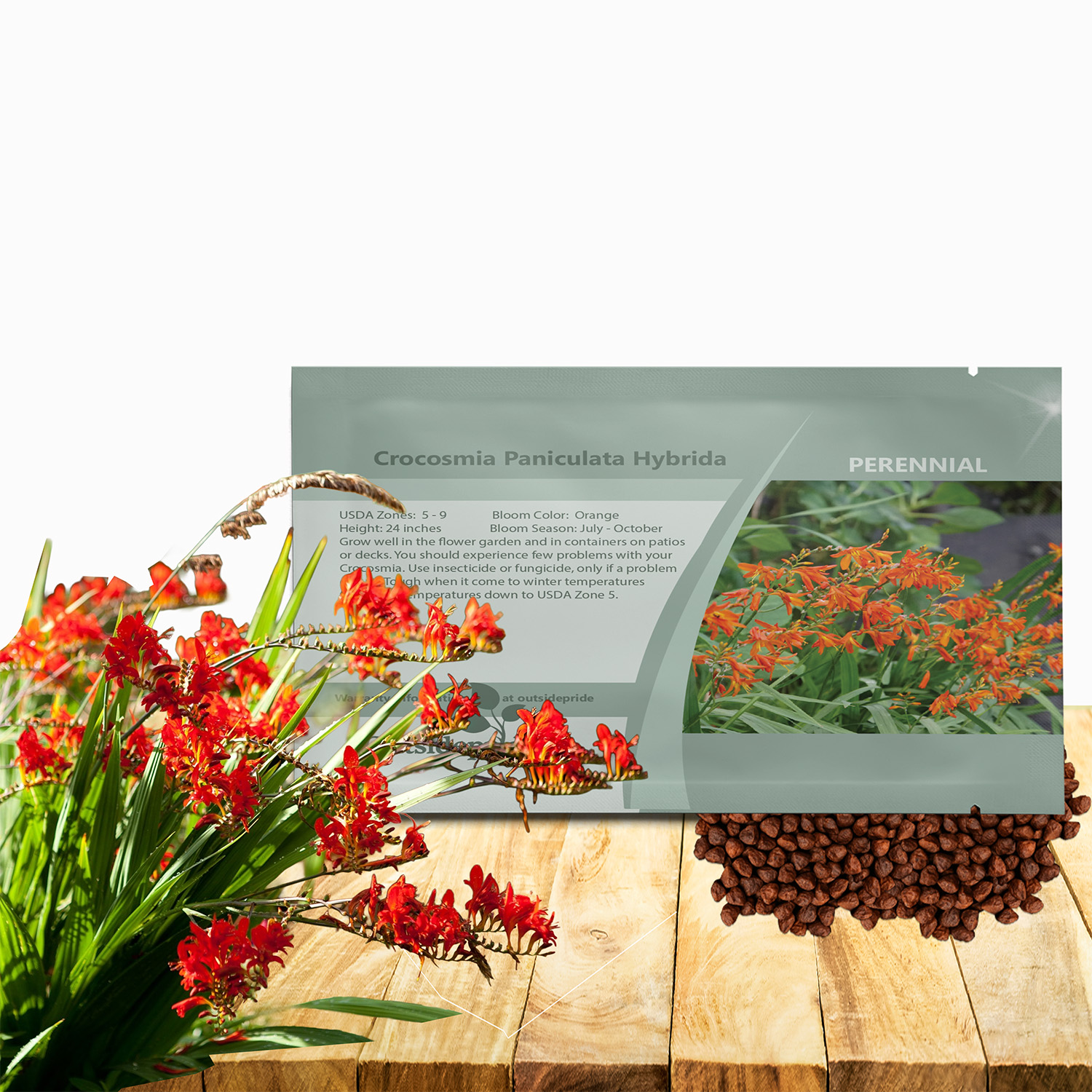 Crocosmia Flower Seed Packet For Planting