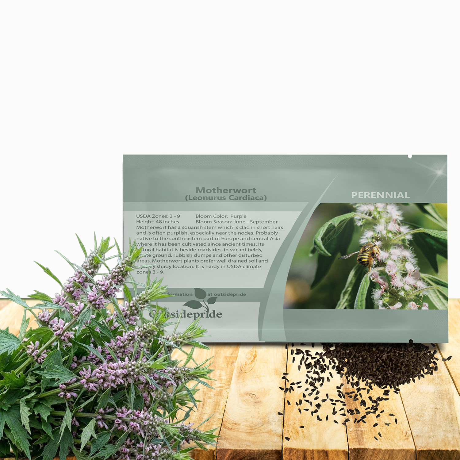 Motherwort Seeds For Planting