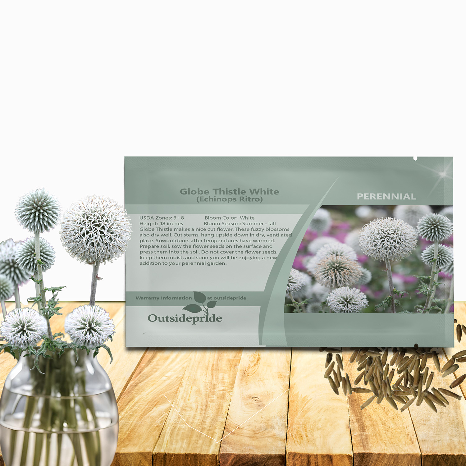 White Globe Thistle Flower Seed Packet