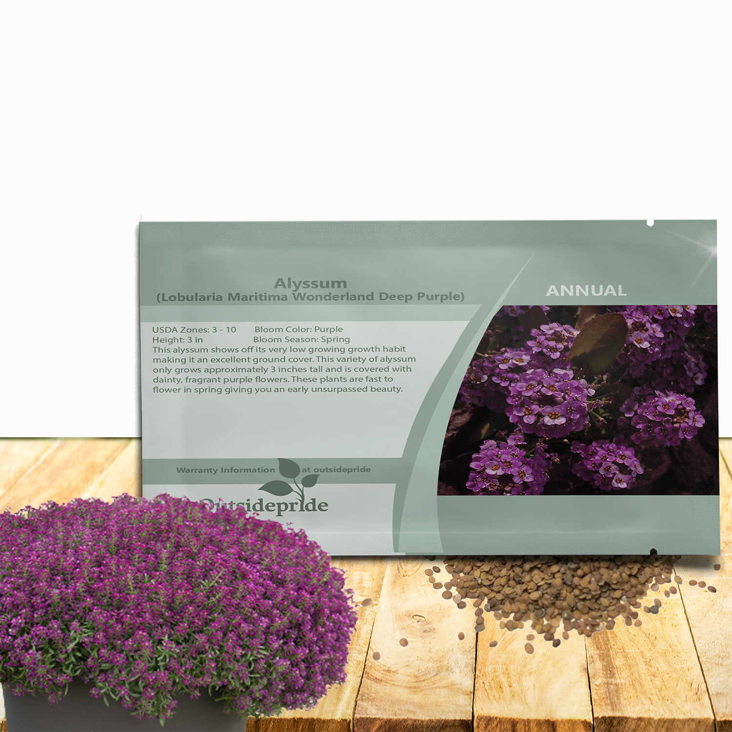 Alyssum Purple Seed Packet For Planting