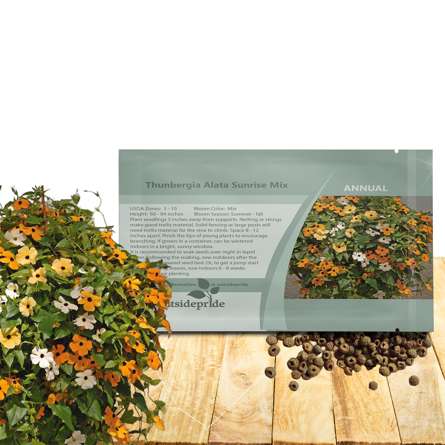 Black-eyed Susan Vine Seed Packet Mix
