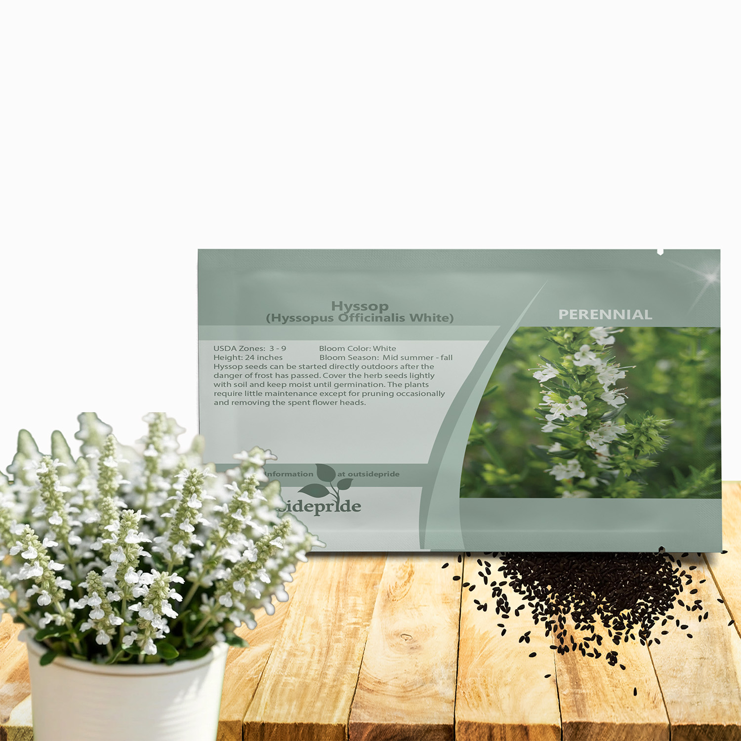 Hyssop White Herb Seed Packet