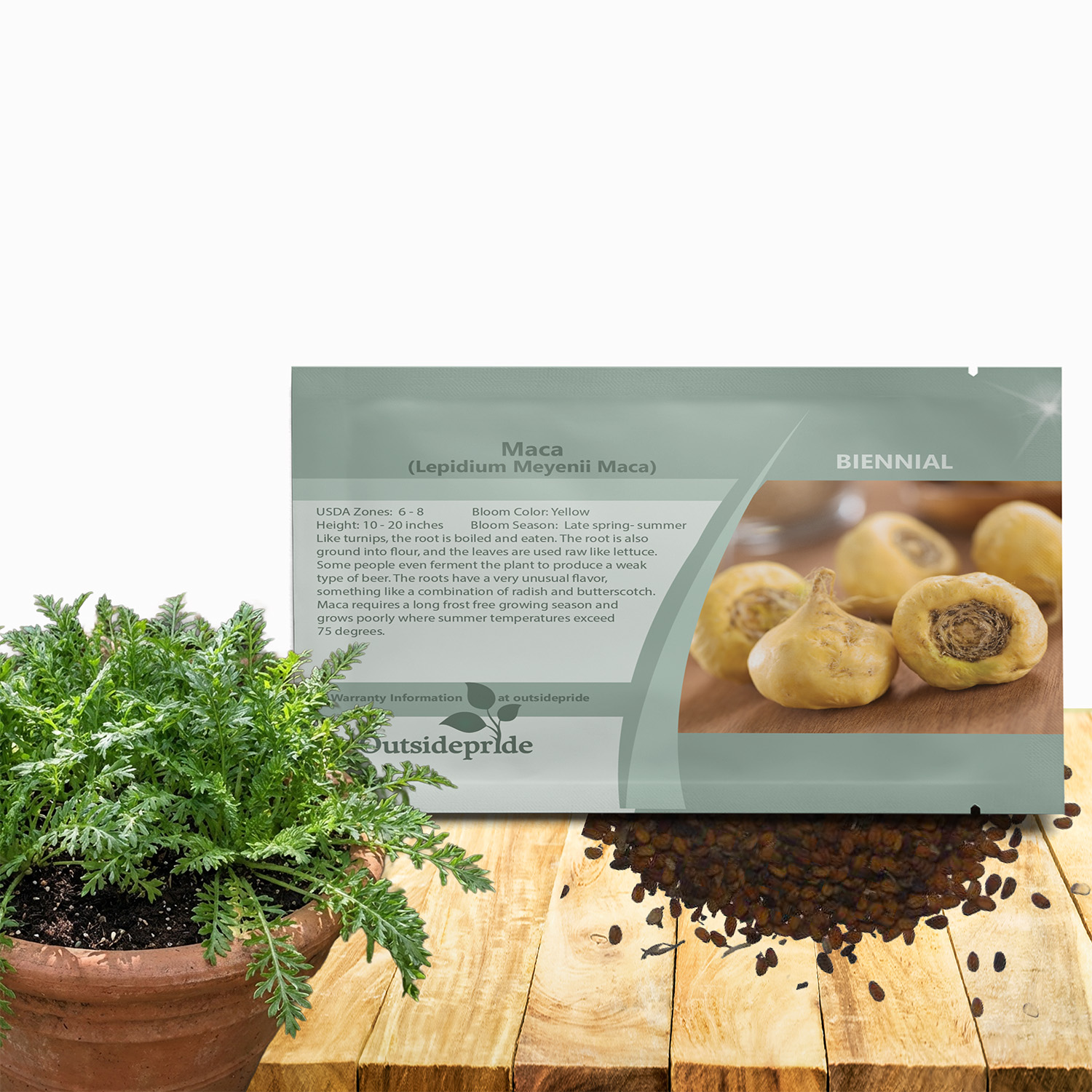 Maca Flower Seed Packet