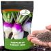 Purple Top Turnip Seed Bag
