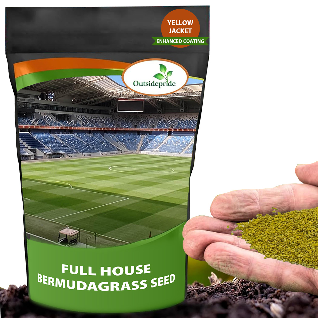 Full House Bermuda Grass Lawn