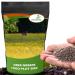 Deer Greens Seed Bag