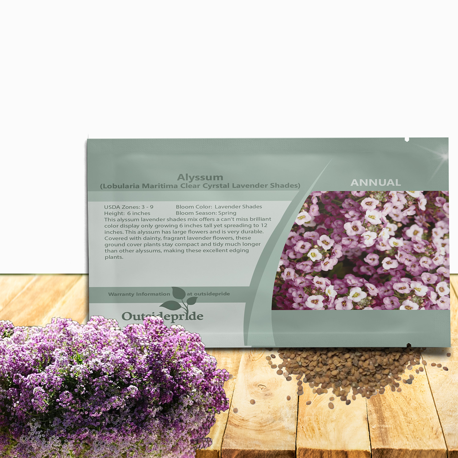 Alyssum Lavender Shades Seed Packet For Planting