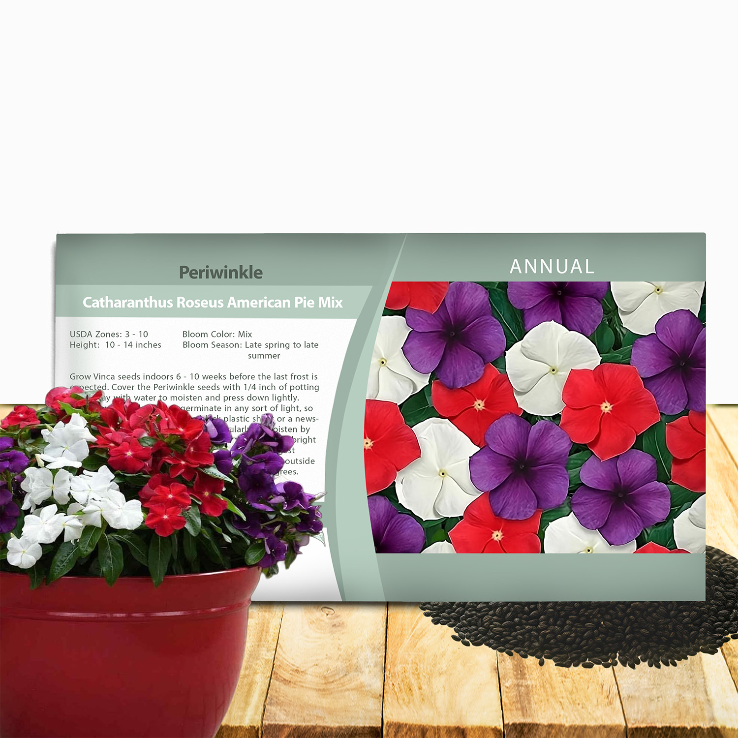 Vinca American Pie Ground Cover Seed Packet
