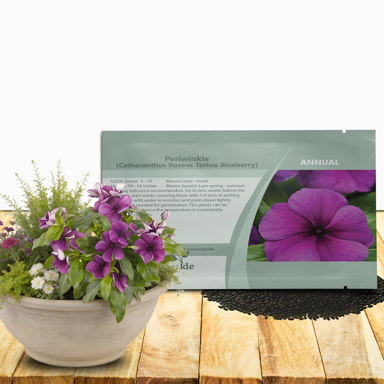 Vinca Tattoo Blueberry Seed Packet
